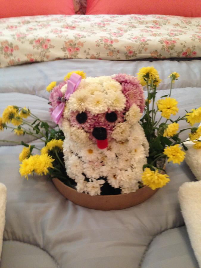 塞萨洛尼基Studio Floral公寓 外观 照片